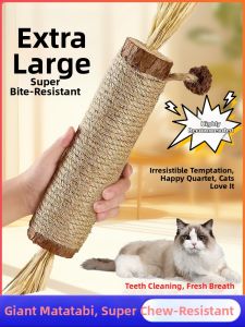 VOA | Oversized Natural Matatabi Cat Toy Teeth Cleaning Durable Chew Stick