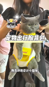 Túi địu chó mèo chuyên nghiệp HipiPet - dẫn bé đi phượt thoả thích - T3 PETS SHOP