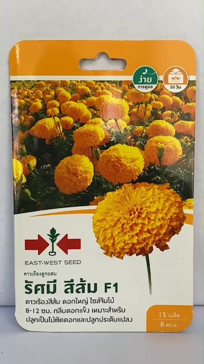 8 อันดับเมล็ดพันธุ์ดาวเรืองน่าปลูก 2026: เนรมิตสวนสวยด้วยดอกไม้มงคล!