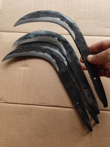 EGREK PINANG EGREK BUAH-BUAHAN