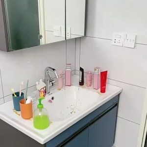 BW-C864 Rak Dinding Tempel Kamar Mandi Motif Gajah Tanpa Paku Serbaguna / Rak Dapur dengan Gantungan
