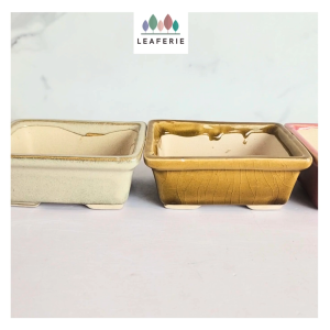The Leaferie Bonsai (Series 82) Rectangular plant pots. flowerpot rectangle flowerpots flower pot