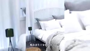 YAOGUI Herbal Dust Mite Eliminator Bag Reduces Acne & Itching Penyingkiran Hama 耀桂除螨包3片去螨中草药香茅柠檬去螨虫植