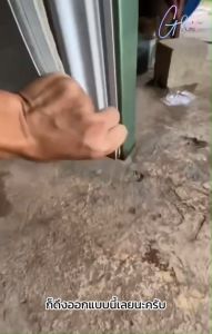 ขอบยางตู้เย็น สำหรับ SINGER NF-4103