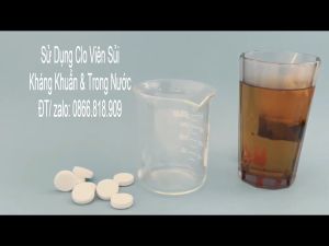 Hộp 1 Kg Chlor Viên Sủi Vệ Sinh Khử Khuẩn Môi Trường