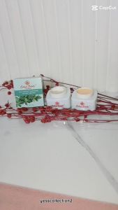 3 PCS SELEDRI Cream Siang dan Malam ORIGINAL - 50 gr Cream Seledri Menghilangkan Bekas Jera.wat dan Fle.k Hit.am - COD