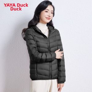 YAYA |Slim Hooded Short Quilted Jacket