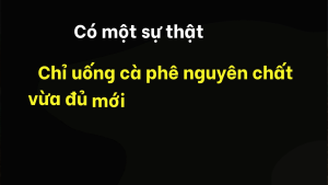 500G Cafe Robusta ĐẶC BIỆT pha phin pha máy Cà phê nguyên chất 100% rang mộc vị đậm đà đắng vừa thơm nhiều hậu ngọt Saco coffee