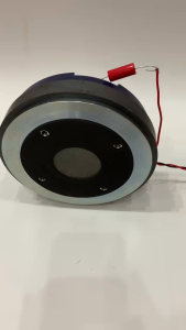 Củ kèn sân khấu 750 BM nhập khẩu từ 170 côn 75 - giá 1 cái