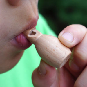 Mini Creative Whistle Toy