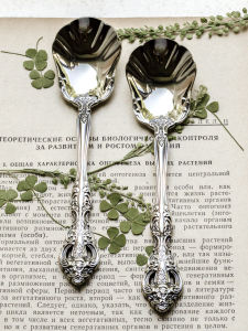 Retro French Rococo Embossed Silverware Dessert Spoon Cake Spoon Ice Cream Spoon Bright Silver 18-10 Stainless Steel Antique Finish