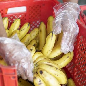 SukiGrocer Okra 230-250g: Fresh & Organic