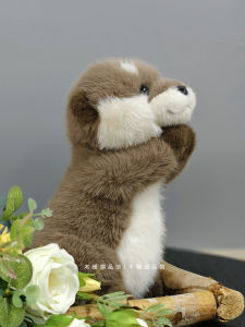 Đồ Chơi Mole Maglev Realistic Hugging Birthday Gift for Boys Plush Doll Polyester Fiber Fill China Made Mole Maglev Toy