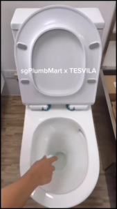 Tesvila x sgPlumbMart Swirl Tornado Flush One Piece Rimeless Toilet Bowl 1 Piece WC 3 Ticks