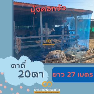 มุ้งล้อมคอกวัวกันแมลง ถี่20ตา กันยุงได้ มุ้งไนล่อน มุ้งเขียว สูง4เมตร ยาว27เมตร