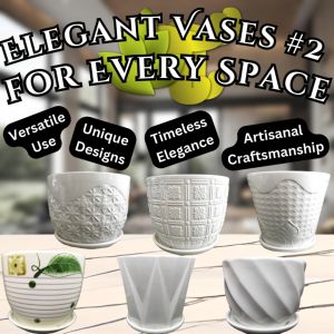 [VVS2] - Stylish Decorative Vases for Home and Office - Perfect for Living Room Bedroom