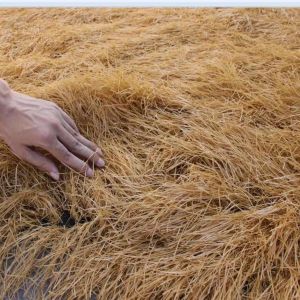 (Customized size) 1M-20M Synthetic straw hat roof yellow artificial Mexican straw roll Palapa straw hat roof grass Tiki bar cabin Patio fence bar Hawaii party decoration