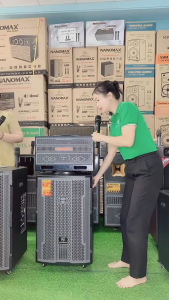 ( TẶNG KÈM 2 MIC ) Loa Karaoke Xách Tay Nanomax X-17 Bass Đôi 16cm 320w Bảo Hành 12 Tháng