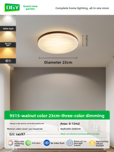 DGY | Modern & Simple LED Ceiling Light for Bedroom