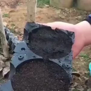 Plant Rooting Device Air Layering High Pressure Propagator Plants Propagation Box Grafting Gardening Tools