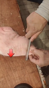 Dao cạo kim loại đa năng kèm nhiều lưỡi thay sắc bén