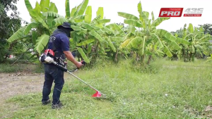 เครื่องตัดหญ้า 4 จังหวะ Tazawa Pro435 ประหยัดน้ำมัน เสียงเบา กำลังแรง