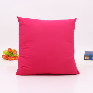 Simple Pure Color Flannel Pillow Cover
