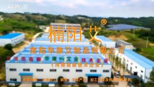 （ Special Effects Stickers ） Hong Kong Da Fang Old Black Plaster Neck Shoulder Waist Leg Joint Patch Lumbar Moxibustion Patch Mugwort Acupoint Patch Handmade Black Plaster Patch