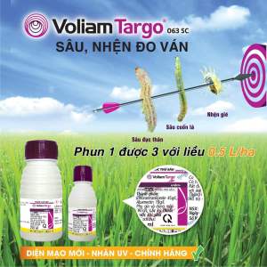 Voliam Targo 063SC Syngenta – Sâu Cuốn Lá Sâu Đục Thân Nhện Gié – Hiệu Quả Cao Cho Lúa Rau Màu 100ml