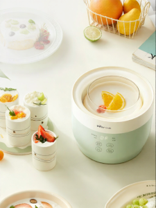 Bear | Small Home Use Automatic Ceramic Fermentation Machine