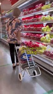 รถเข็นพับเก็บได้ รถเข็นจ่ายตลาด อลูมิเนียม รถเข็นมีล้อ รถเข็นอเนกประสงค์ 2 ล้อ รับน้ำหนัก 50 kg