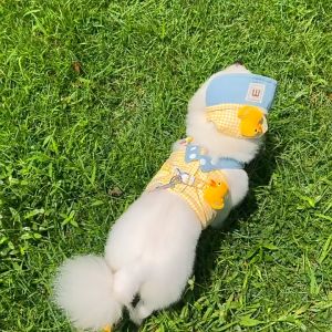 Kindred Pets ฤดูใบไม้ผลิและฤดูร้อนชุดสายจูงสัตว์เลี้ยงแมวลูกสุนัขสุนัขเสื้อผ้าออกนอกเป็ดออกนอกบ้านอุปกรณ์เสื้อผ้า