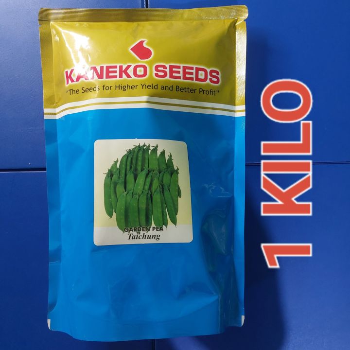 TAICHUNG (1 KILO) GARDEN PEA SEEDS FOR PLANTING / SITSARO BY KANEKO ...