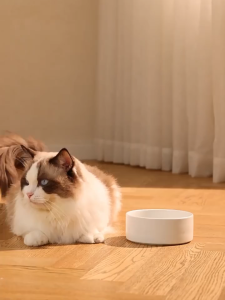 Pet Food Feeder Water Dispenser Drinking Dog Cat Cage Bowl Bekas Makanan Minuman Kucing Auto 自动饮水机食物