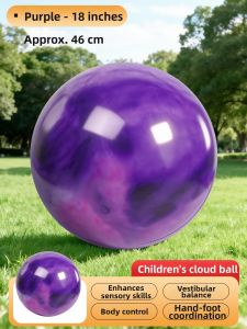 WEIBAI | Large Thickened Anti-Burst Bouncy Ball Inflatable Toy