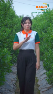 KAGREEN LIQUID Phân bón sinh học KA GREEN kích rễ bung đọt mập cành dày lá