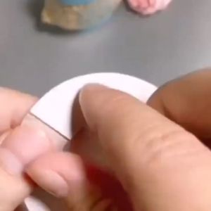 40Pcs Women Adhesive Breast Petals Disposable Pad Female Sticker on The Chest