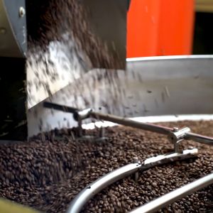 [BUNDLE] Coffex Alturra Blend and Discovery #13 Blend 100% Arabica Whole Coffee Bean (250g)