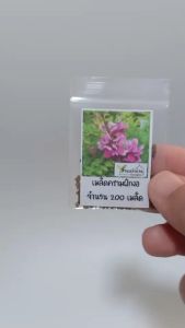 200 เมล็ด ครามย้อมผ้า ครามฝักงอ เมล็ดครามฝักงอ เมล็ดคราม คราม ครามย้อมผ้า เมล็ดครามย้อมผ้า