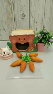 Hedgehog Planet woodies play carrot for rabbit hamster small pets (6pcs per pack) 刺星球小动物兔子仓鼠磨牙胡萝卜玩具(六个装)