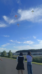 CANAMEK ว่าวทุ่งหญ้า1.2ม. ง่ายต่อการบินสำหรับผู้ใหญ่ว่าวสามเหลี่ยมสำหรับเด็กติดตั้งง่าย