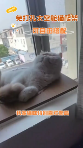 Capsule Cat Hammock Hanging Bed Wooden Stand Window Perch Mount Stable Platform Cozy Sleeping Pod Pod Kucing