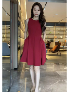 French Elegant Sleeveless round Neck Puffy Dress Womens Summer New Waist Cinching Slim A-Line Little Black Dress