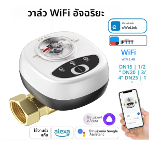 EWelink APP WiFi สมาร์ทวาล์วน้ําแก๊สปิดวาล์วบอลอัตโนมัติ DN15/DN20/DN25 ไร้สายสําหรับ Alexa Google Alice