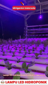 lampu LED hidroponik 80 LED pengganti matahari tanaman indoor taman kolam aquascape perikanan