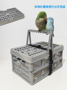 Bird Peony Xuanfeng Xiaojin Taihe Yangshang Kake Parrot Portable Folding Suitcase Hand Cage Basket