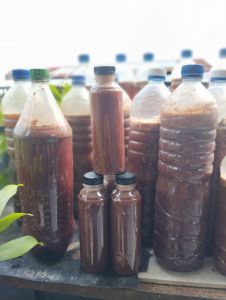 Biang Bakteri Fotosintesis (PSB) SUPER JAKABA