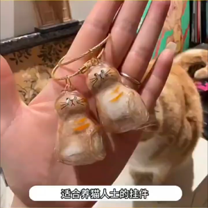 ที่เก็บขนแมวที่สร้างสรรค์ จี้แคปซูลเก็บขนแมวแบบใส ที่ระลึกสัตว์เลี้ยง เก็บขนแมวใส่พวงกุญแจ