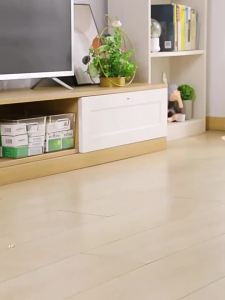 JOYBOS | Transparent Storage Box with Double Handles