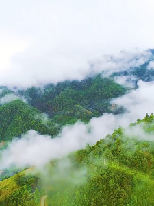 Car solid air freshener lasting fragrance 120g230g360g car perfume deodorant lasting fragrance lemon cologne